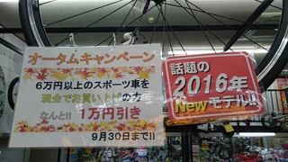 2015-09-04 17.06.15.jpg