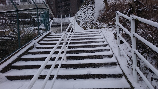 2016-01-24 12.08.27.jpg