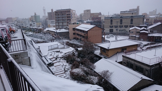 2016-01-24 12.10.12.jpg